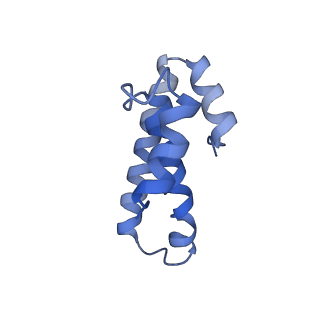 8814_5we4_o_v2-2
70S ribosome-EF-Tu wt complex with GppNHp