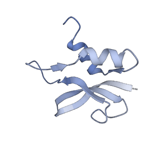 8814_5we4_p_v1-3
70S ribosome-EF-Tu wt complex with GppNHp