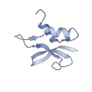 8814_5we4_p_v2-2
70S ribosome-EF-Tu wt complex with GppNHp