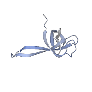 8814_5we4_q_v1-3
70S ribosome-EF-Tu wt complex with GppNHp