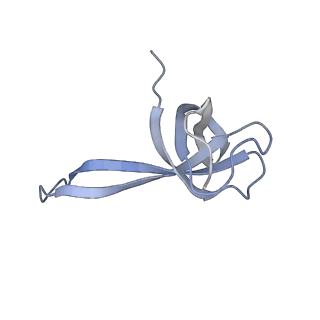 8814_5we4_q_v2-1
70S ribosome-EF-Tu wt complex with GppNHp