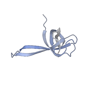 8814_5we4_q_v2-2
70S ribosome-EF-Tu wt complex with GppNHp