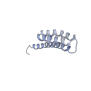 8814_5we4_t_v2-2
70S ribosome-EF-Tu wt complex with GppNHp