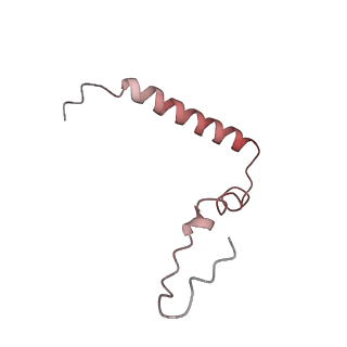 8814_5we4_u_v2-1
70S ribosome-EF-Tu wt complex with GppNHp