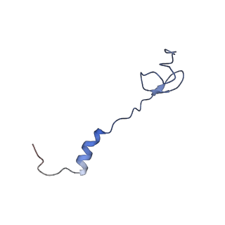 8815_5we6_0_v1-4
70S ribosome-EF-Tu H84A complex with GTP and cognate tRNA