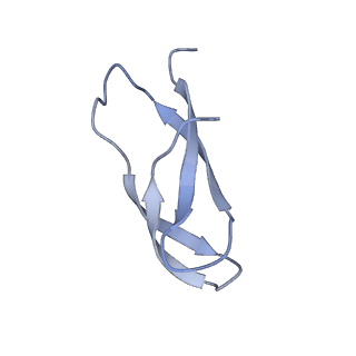 8815_5we6_1_v1-4
70S ribosome-EF-Tu H84A complex with GTP and cognate tRNA