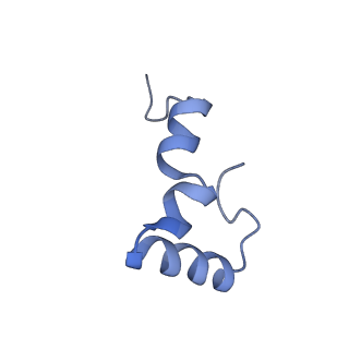 8815_5we6_2_v1-4
70S ribosome-EF-Tu H84A complex with GTP and cognate tRNA