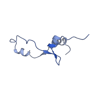 8815_5we6_3_v1-4
70S ribosome-EF-Tu H84A complex with GTP and cognate tRNA