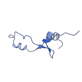 8815_5we6_3_v2-2
70S ribosome-EF-Tu H84A complex with GTP and cognate tRNA