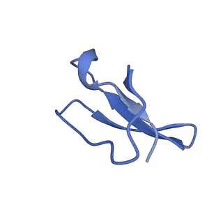 8815_5we6_4_v2-2
70S ribosome-EF-Tu H84A complex with GTP and cognate tRNA