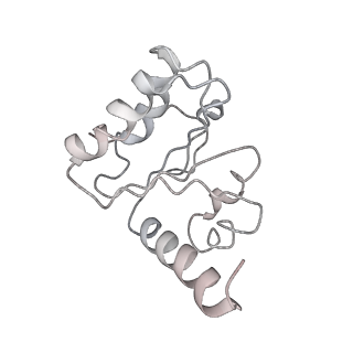 8815_5we6_5_v1-4
70S ribosome-EF-Tu H84A complex with GTP and cognate tRNA