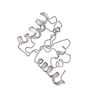 8815_5we6_5_v2-2
70S ribosome-EF-Tu H84A complex with GTP and cognate tRNA