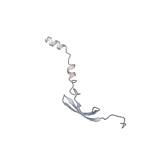 8815_5we6_6_v1-4
70S ribosome-EF-Tu H84A complex with GTP and cognate tRNA