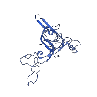 8815_5we6_D_v2-2
70S ribosome-EF-Tu H84A complex with GTP and cognate tRNA