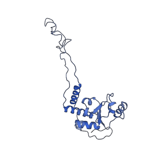 8815_5we6_E_v1-4
70S ribosome-EF-Tu H84A complex with GTP and cognate tRNA