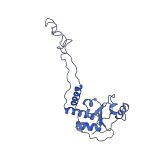 8815_5we6_E_v2-2
70S ribosome-EF-Tu H84A complex with GTP and cognate tRNA