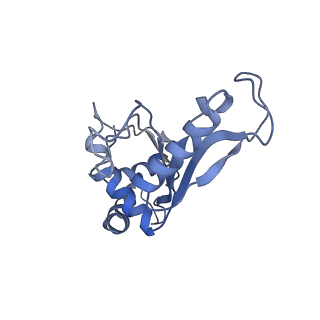 8815_5we6_F_v1-4
70S ribosome-EF-Tu H84A complex with GTP and cognate tRNA