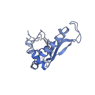 8815_5we6_F_v2-2
70S ribosome-EF-Tu H84A complex with GTP and cognate tRNA