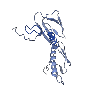 8815_5we6_G_v2-2
70S ribosome-EF-Tu H84A complex with GTP and cognate tRNA