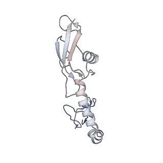 8815_5we6_H_v1-4
70S ribosome-EF-Tu H84A complex with GTP and cognate tRNA