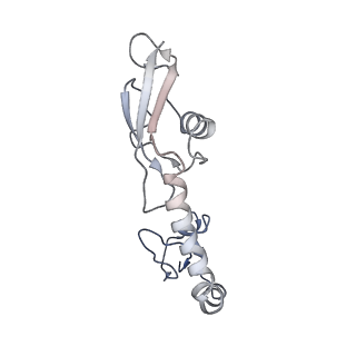 8815_5we6_H_v2-1
70S ribosome-EF-Tu H84A complex with GTP and cognate tRNA
