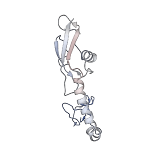 8815_5we6_H_v2-2
70S ribosome-EF-Tu H84A complex with GTP and cognate tRNA