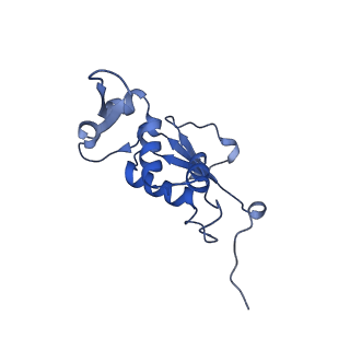 8815_5we6_J_v1-4
70S ribosome-EF-Tu H84A complex with GTP and cognate tRNA