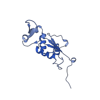 8815_5we6_J_v2-2
70S ribosome-EF-Tu H84A complex with GTP and cognate tRNA