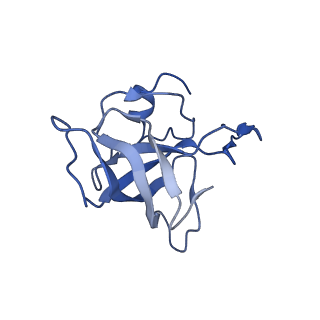 8815_5we6_K_v1-4
70S ribosome-EF-Tu H84A complex with GTP and cognate tRNA