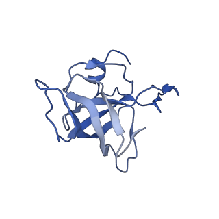 8815_5we6_K_v2-2
70S ribosome-EF-Tu H84A complex with GTP and cognate tRNA