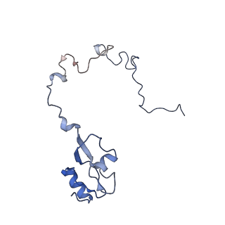 8815_5we6_L_v1-4
70S ribosome-EF-Tu H84A complex with GTP and cognate tRNA