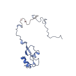 8815_5we6_L_v2-1
70S ribosome-EF-Tu H84A complex with GTP and cognate tRNA
