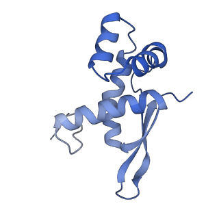 8815_5we6_N_v2-2
70S ribosome-EF-Tu H84A complex with GTP and cognate tRNA