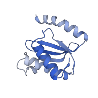 8815_5we6_O_v2-2
70S ribosome-EF-Tu H84A complex with GTP and cognate tRNA