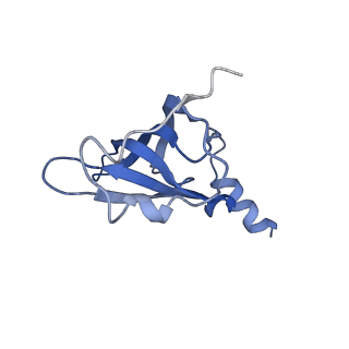 8815_5we6_P_v1-4
70S ribosome-EF-Tu H84A complex with GTP and cognate tRNA