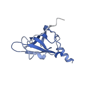 8815_5we6_P_v2-2
70S ribosome-EF-Tu H84A complex with GTP and cognate tRNA