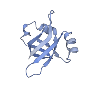 8815_5we6_V_v1-4
70S ribosome-EF-Tu H84A complex with GTP and cognate tRNA