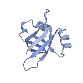 8815_5we6_V_v2-2
70S ribosome-EF-Tu H84A complex with GTP and cognate tRNA