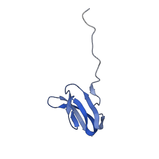8815_5we6_W_v1-4
70S ribosome-EF-Tu H84A complex with GTP and cognate tRNA