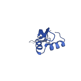 8815_5we6_X_v1-4
70S ribosome-EF-Tu H84A complex with GTP and cognate tRNA