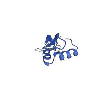8815_5we6_X_v2-1
70S ribosome-EF-Tu H84A complex with GTP and cognate tRNA