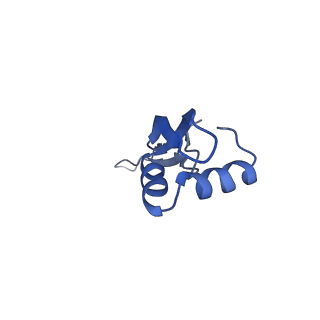 8815_5we6_X_v2-2
70S ribosome-EF-Tu H84A complex with GTP and cognate tRNA