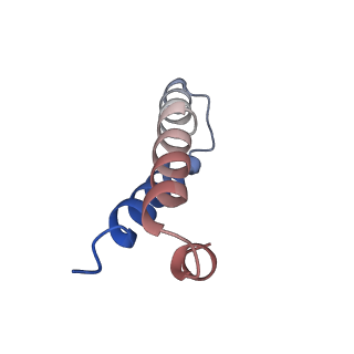 8815_5we6_Y_v1-4
70S ribosome-EF-Tu H84A complex with GTP and cognate tRNA