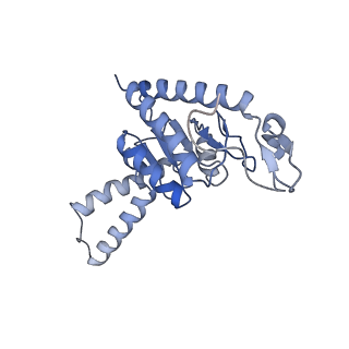 8815_5we6_b_v1-4
70S ribosome-EF-Tu H84A complex with GTP and cognate tRNA