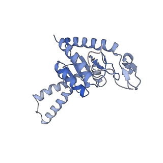 8815_5we6_b_v2-2
70S ribosome-EF-Tu H84A complex with GTP and cognate tRNA