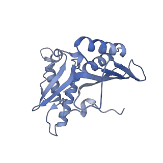 8815_5we6_c_v1-4
70S ribosome-EF-Tu H84A complex with GTP and cognate tRNA