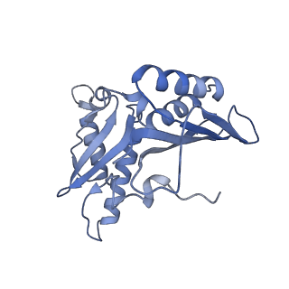 8815_5we6_c_v2-2
70S ribosome-EF-Tu H84A complex with GTP and cognate tRNA