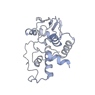 8815_5we6_d_v1-4
70S ribosome-EF-Tu H84A complex with GTP and cognate tRNA