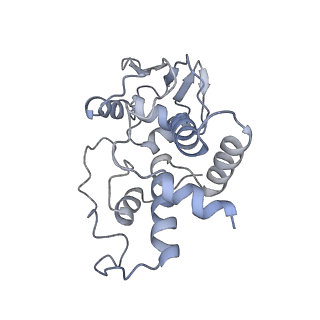 8815_5we6_d_v2-2
70S ribosome-EF-Tu H84A complex with GTP and cognate tRNA