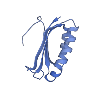 8815_5we6_f_v2-2
70S ribosome-EF-Tu H84A complex with GTP and cognate tRNA